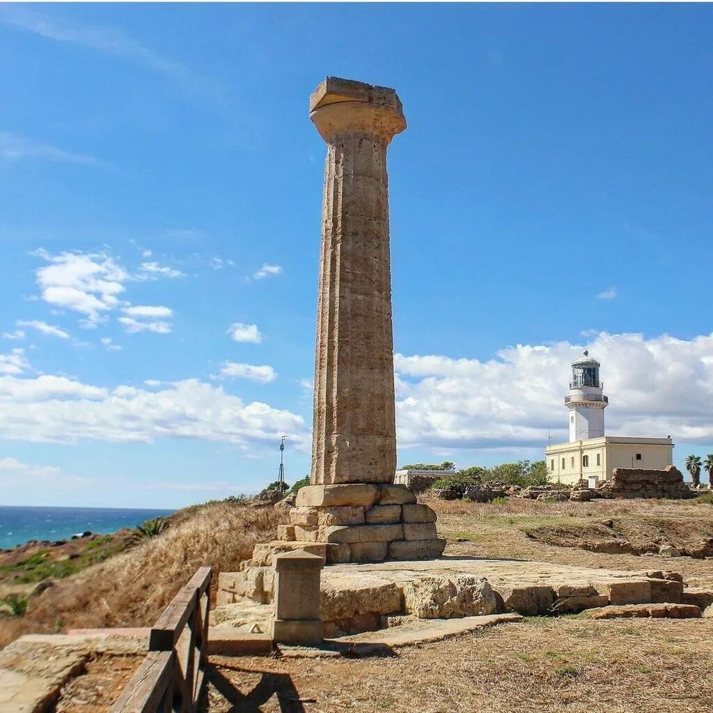 CalabriaTweet's tweet photo. La meravigliosa bellezza delle radici. Grazie a @giam_p_ per questo scatto dal Parco Archeologico Nazionale di Capo Colonna, nel Comune di Crotone!
#capocolonna #crotone #calabriatweet #archeology #archeologia #archilovers #visit #visititaly #travel #med… https://t.co/pKuoDGBOCd https://t.co/pMd4o0VIwu