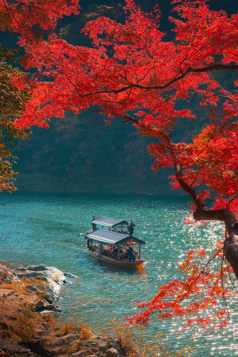 Bryan15106503's tweet photo. Autumn is
Like a second
spring every
leaf a flower.

Albert Camus https://t.co/qco0Dgn90H