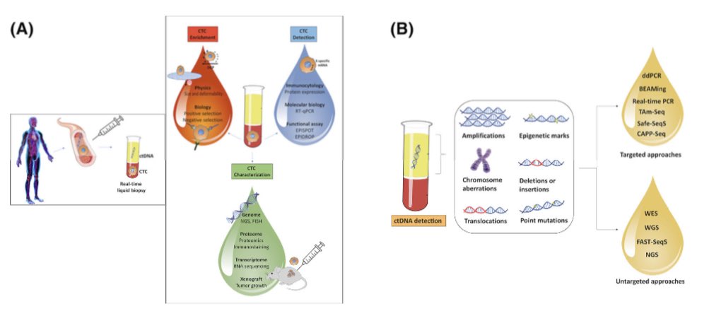 Check out this new paper in @MDPIOpenAccess Cancers on Liquid Biopsies in Colorectal Liver Metastases: Towards the Era of Precision Oncologic Surgery by our @OhioStateSurg research team….▶️▶️▶️ mdpi-res.com/d_attachment/c… #cancer #liver #colorectalcancer #Genetics