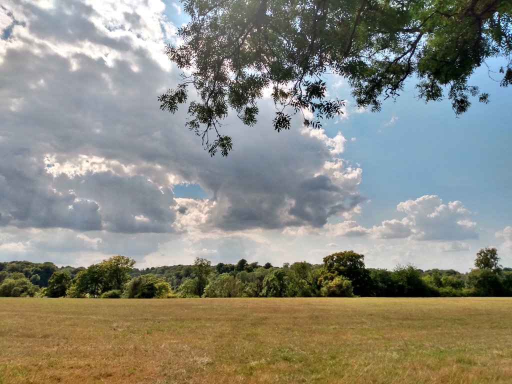 writingsuzanne's tweet image. Down House in Downe, Kent 📸
The Home of Charles Darwin 🔬
August 2022 🌳
@EnglishHeritage #EnglishHeritage #DownHouse #Downe #Kent #London #England #UK #CharlesDarwin #Darwin 💚