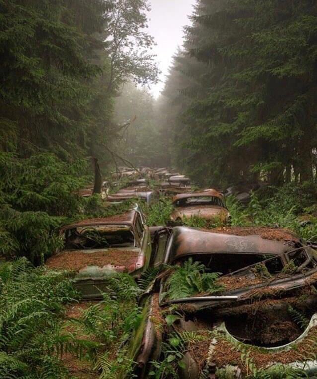MrGuttero's tweet photo. Abandoned traffic jam in Belgium https://t.co/rNdlgYdmbQ