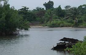 El estuario del río Muni marca la frontera natural entre Guinea Ecuatorial y Gabón. Forma parte de un espacio natural protegido, rico en fauna acuática, y se encuentra a pocos kilómetros de Bata.
#GuineaEcuatorial
#Africa 
#biodiversity