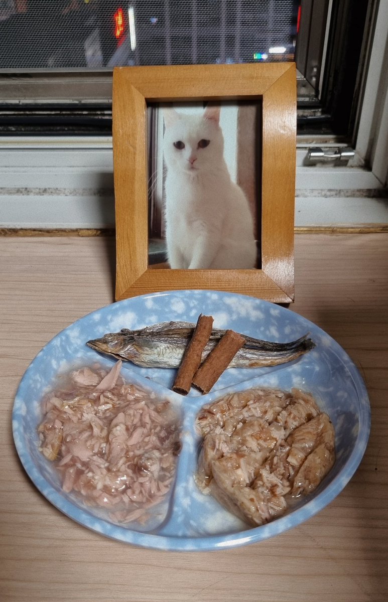 강라푸토르 tweet media