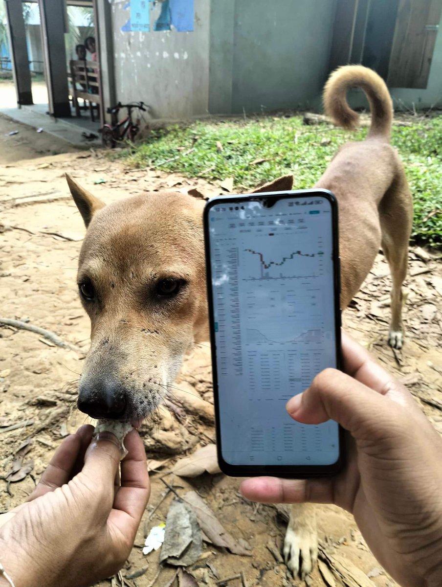 cex_io's tweet photo. Guys, your dogs are the cutest traders we've ever seen 😁

Here are the two lucky winners of our #DOGSTRADEONCEXIO contest:
@sohelchakma509 
@CshiranH 

Please send your user IDs to our DMs! 

Thank you all for the participating! Stay tuned for more contests and giveaways! https://t.co/auMQYPVyQV
