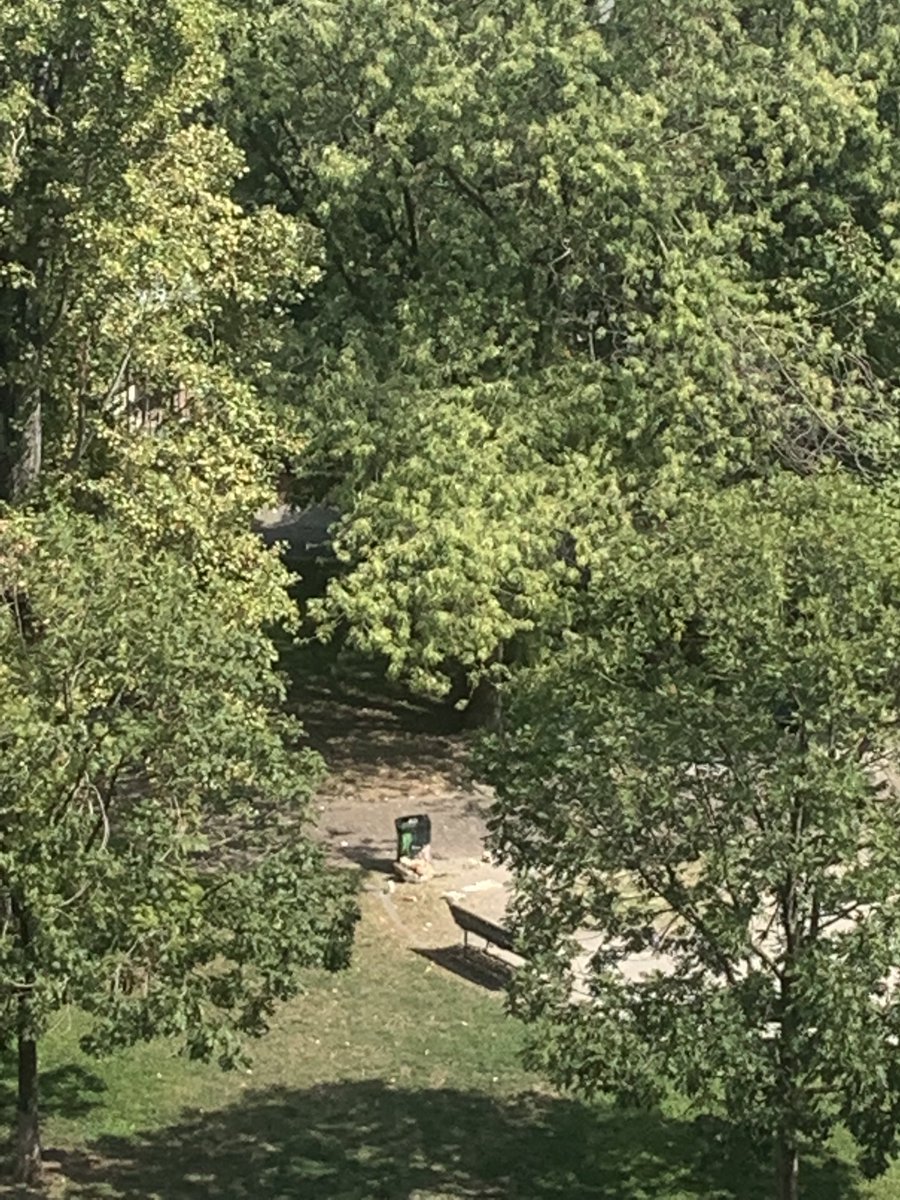 .⁦<a href="/amsa_spa/">Amsa</a>⁩ vi segnalo nei giardinetti di Via Scheiwiller è rimasta immondizia sparsa dopo il passaggio del vostro operatore che ha cambiato i sacchetti. Se fosse possibile intervenire. Grazie