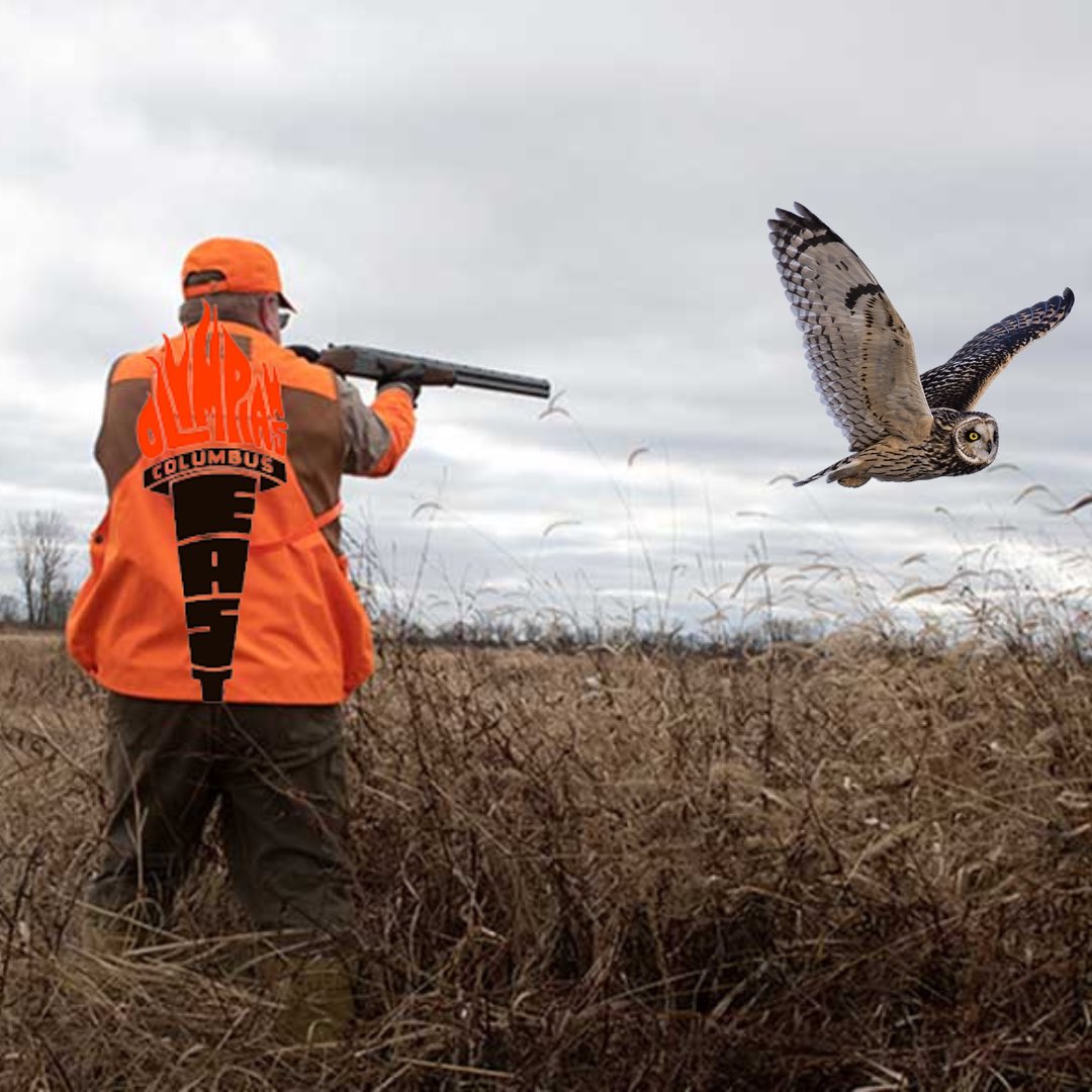 Happy National Owl Hunting day everybody!
