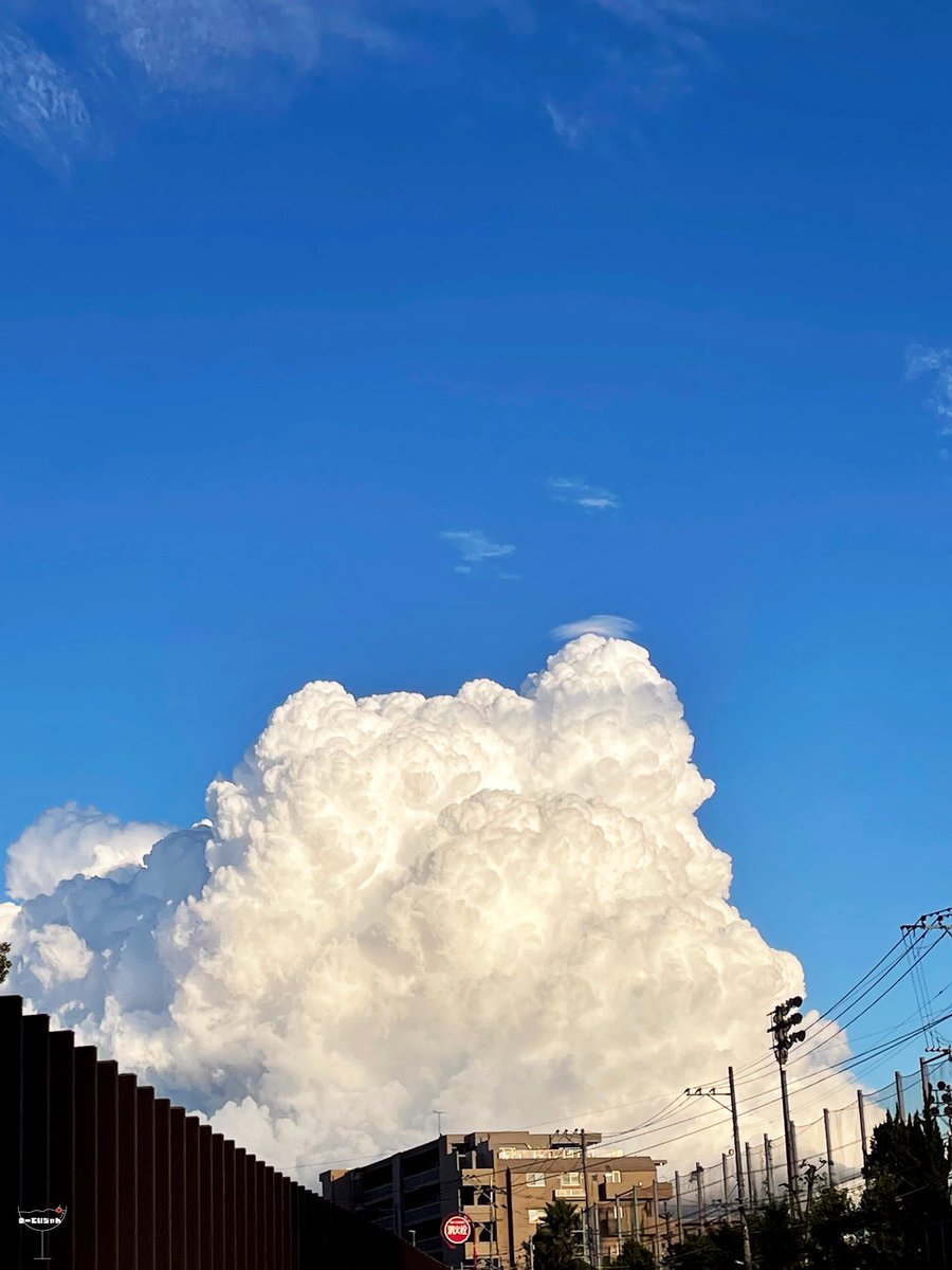 SoraKaze0111's tweet photo. 夏を感じる。

  #Canon  #Canonphoto  #canonphotography  #photo  #photography  #6dMarkII  #風景  #風景写真  #福岡  #夏空  #青空  #写真で奏でる私の世界  #写真撮ってる人と繫がりたい  #写真好きな人と繫がりたい  #カメラマンさんと繋がりたい  #カメラ女子 https://t.co/IgjrLFDEXi