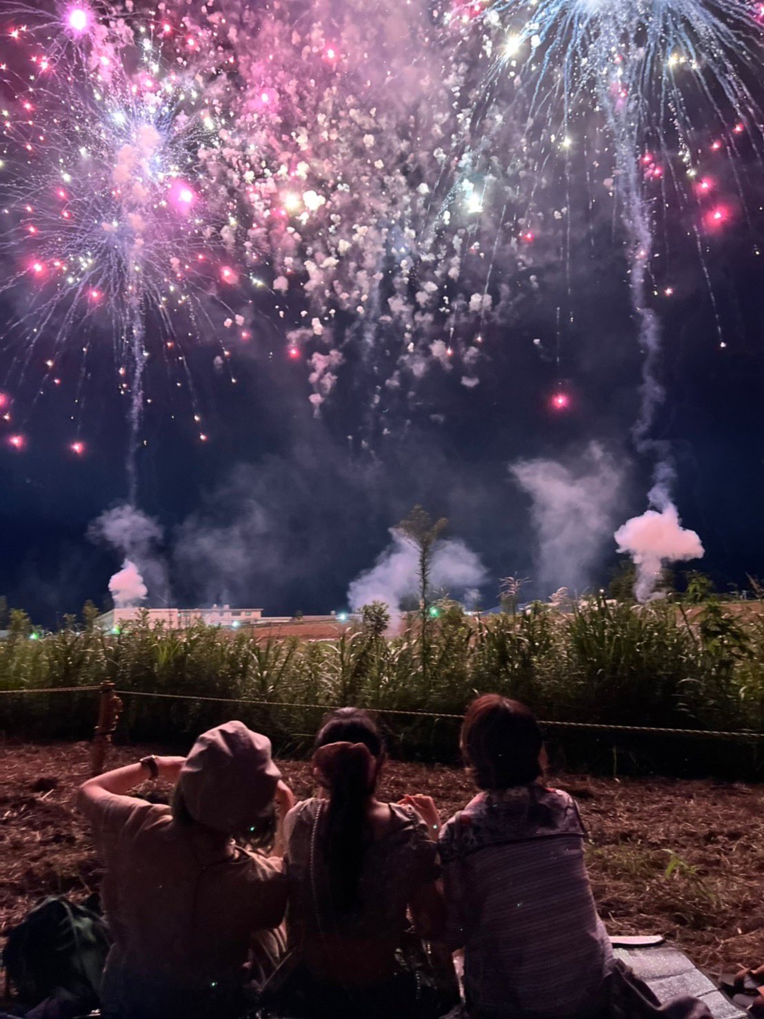 フェニックス花火 Twitter Search Twitter