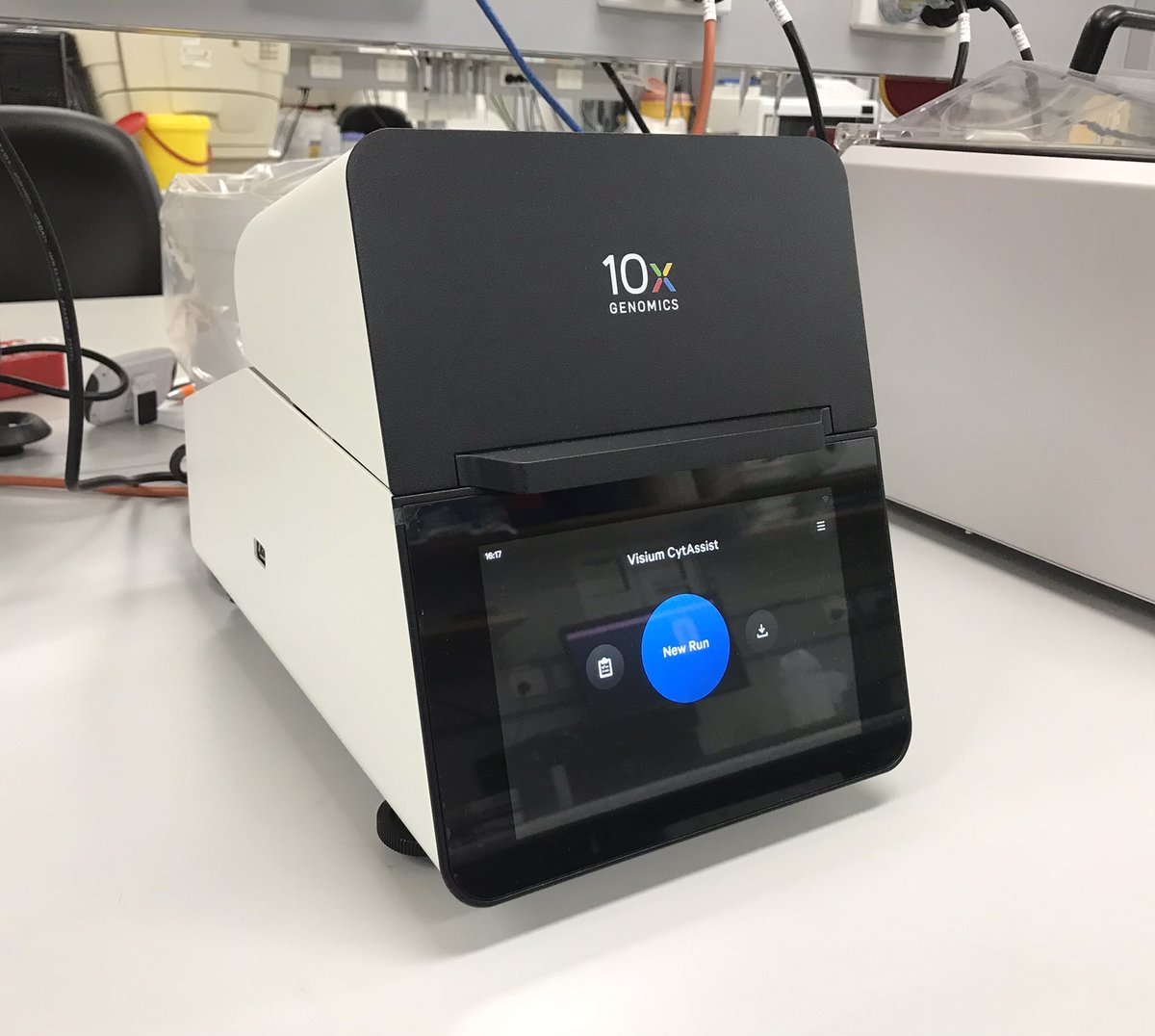 Zherui Xiong tweet media