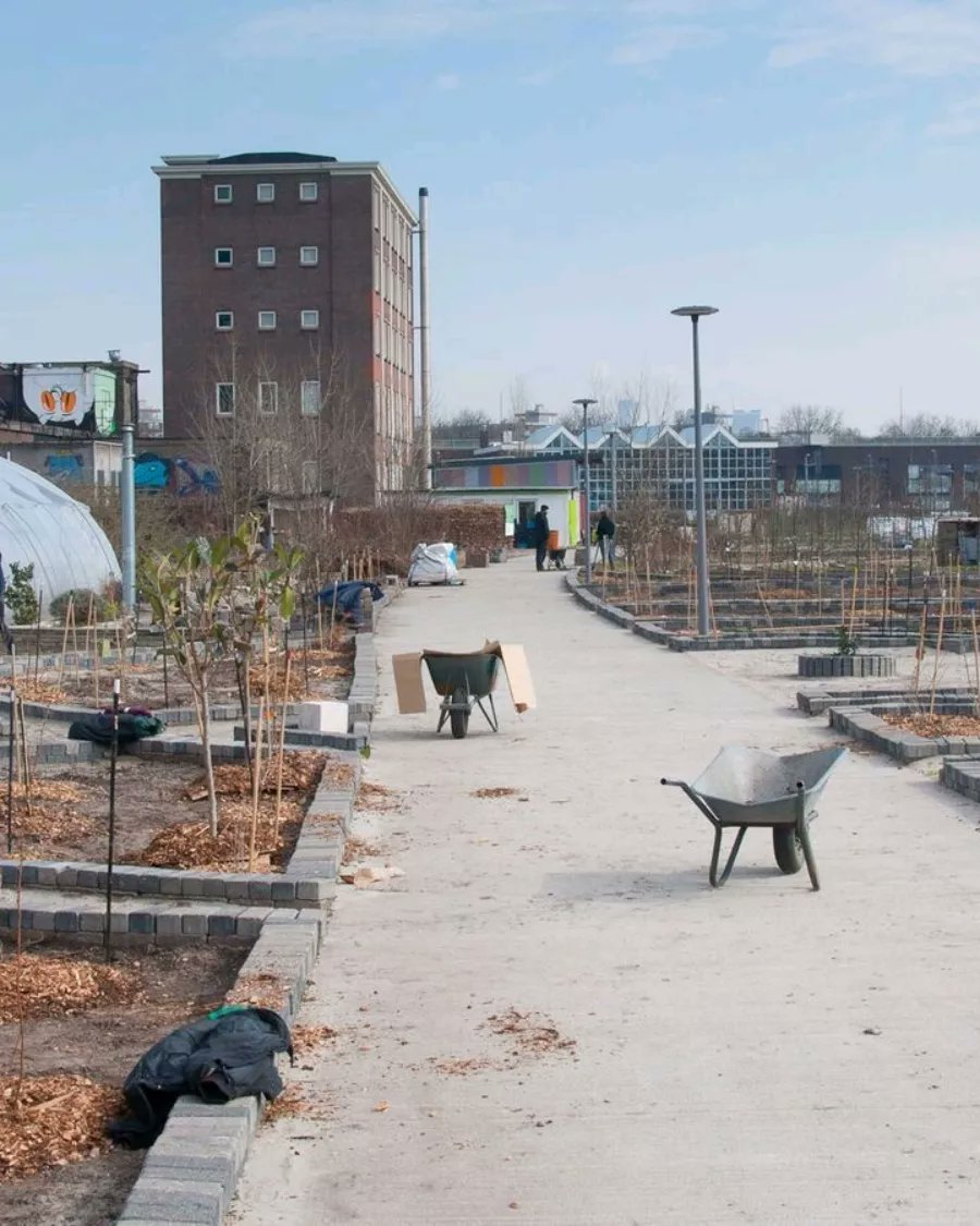 🎆Acil servisler, yükleniciler, bölge amirleri veya yöneticileri, gerektiğinde Sustainder Lighting Uygulamasını kullanarak ışık seviyesini ve karartma programlarını uzaktan ayarlayabilir.Böylece kamusal alanlarda sosyal güvenliği artırıyoruz. #Sustainder #AkıllıŞehir #Aydınlatma