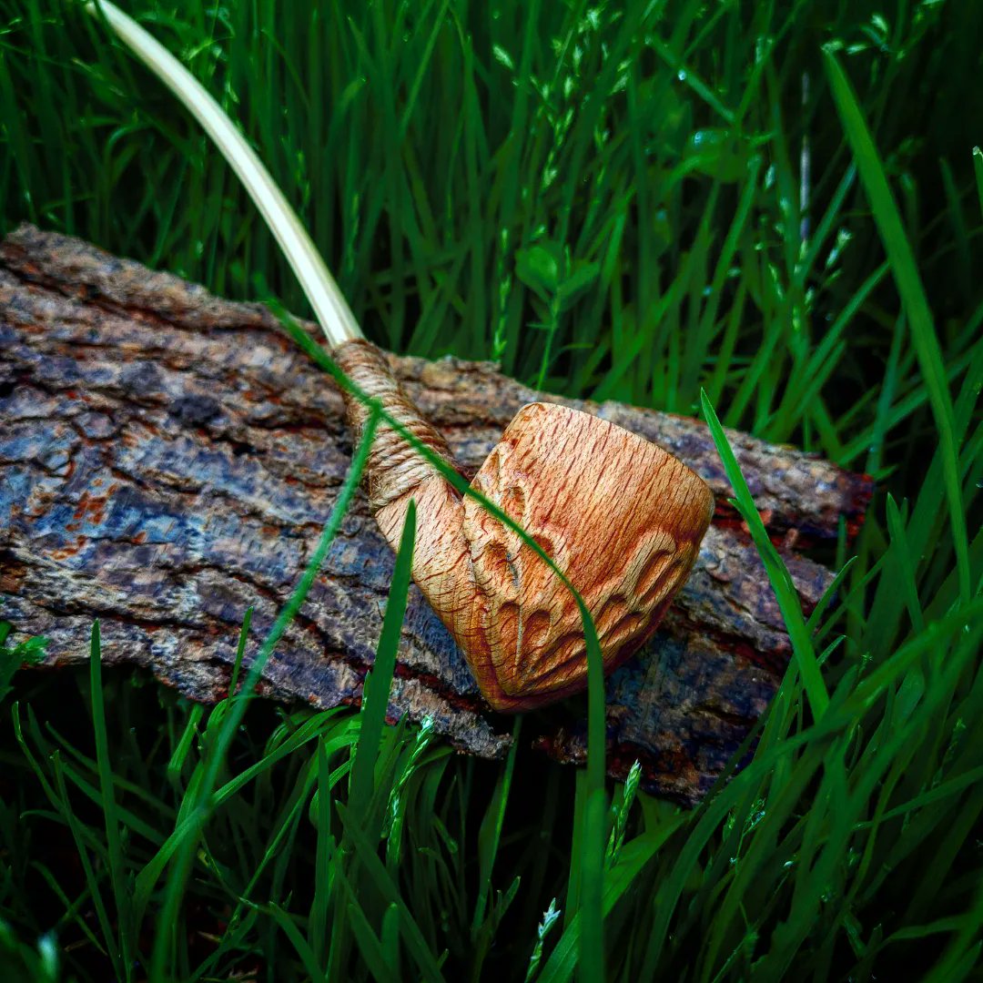 paintproquo's tweet photo. "In a hole in the ground there lived a hobbit. Not a nasty, dirty, wet hole, it was a hobbit-hole, and that means comfort..."

Bilbo Baggins pipe from The Lord of the Rings!! 
🕳🪵🌱🧙🏼‍♂️

#lordoftherings #RingsofPower #lordoftheringsmarathon #bilbo #pipe #hobbit #longpipe https://t.co/khZdyD73qt