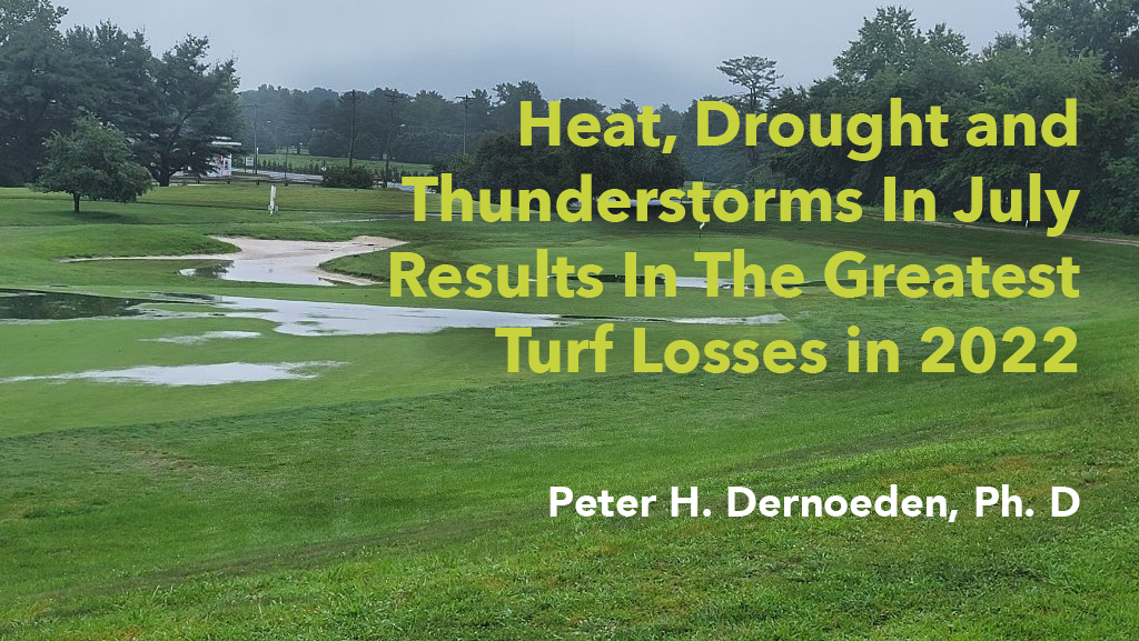 genesis_dist's tweet photo. Read Dr. Pete's latest #turftip: Heat, Drought and Thunderstorms In July Results In The Greatest Turf Losses in 2022 #wetwilt #pythium #brownpatch #fairyring #summerpatch https://t.co/PMyCmz7WDr https://t.co/3JbxZjkC0y