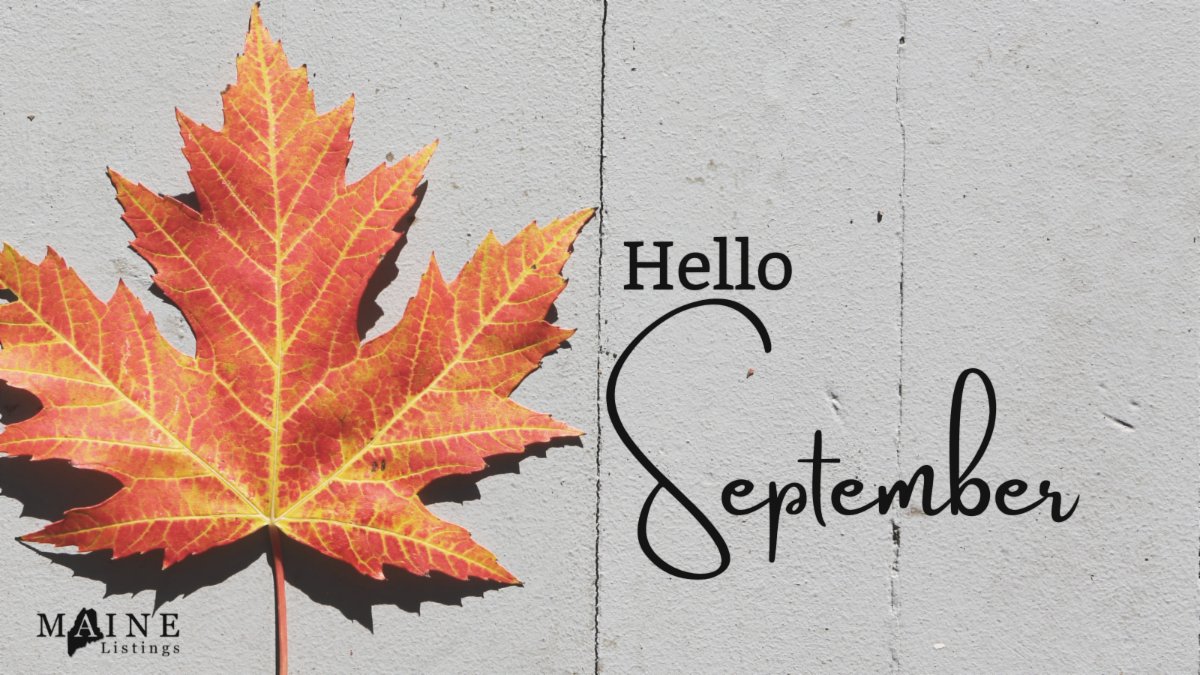 mainelistings's tweet photo. Hello September! “Leaf peeping,” the slang term for fall leaf tourism, is reportedly a $3 billion dollar business in New England, where millions of out-of-state visitors flock to take in the changing colors.

#Fall #Realtor #mainelistings #friday #longweekend #restandrepeat https://t.co/KtQgjtvisV