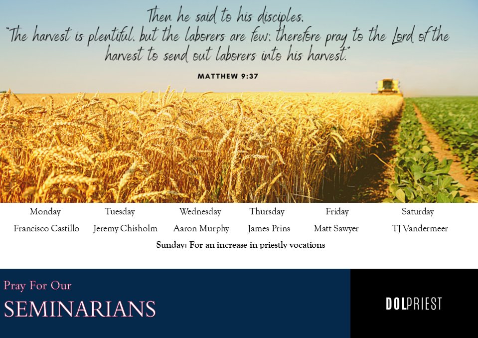 VocationsLondon's tweet photo. I am happy to share our new Vocations Seminarian Prayer Calendar for 2022-2023. I invite us all to pray for each seminarian by name for the particular day of the week. As well I am encourage us to pray particularly on Sunday for an increase in priestly vocations for our Diocese. https://t.co/fYmIcycCF8