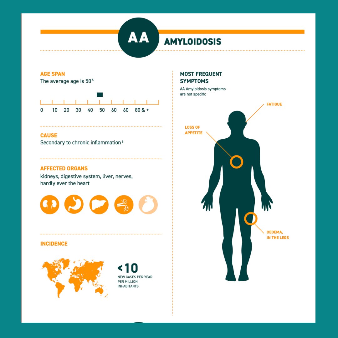 AmyloidosisA's tweet photo. This infographic on #amyloidosis should help you to better understand the disease and its differents forms.
Feel free to share it on social networks📲.
#raredisease #amyloidosisawareness #patientorganization #jointus #patienteducation https://t.co/gMR8g99oaQ