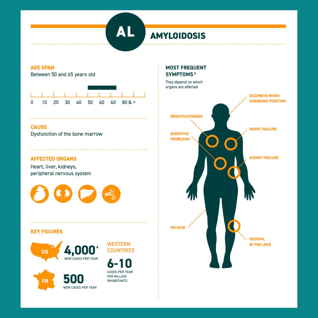 AmyloidosisA's tweet photo. This infographic on #amyloidosis should help you to better understand the disease and its differents forms.
Feel free to share it on social networks📲.
#raredisease #amyloidosisawareness #patientorganization #jointus #patienteducation https://t.co/gMR8g99oaQ