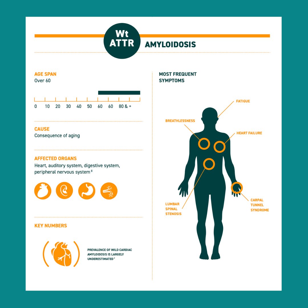 AmyloidosisA's tweet photo. This infographic on #amyloidosis should help you to better understand the disease and its differents forms.
Feel free to share it on social networks📲.
#raredisease #amyloidosisawareness #patientorganization #jointus #patienteducation https://t.co/gMR8g99oaQ