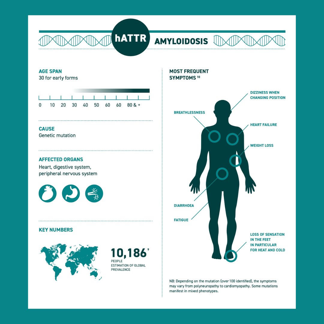 AmyloidosisA's tweet photo. This infographic on #amyloidosis should help you to better understand the disease and its differents forms.
Feel free to share it on social networks📲.
#raredisease #amyloidosisawareness #patientorganization #jointus #patienteducation https://t.co/gMR8g99oaQ