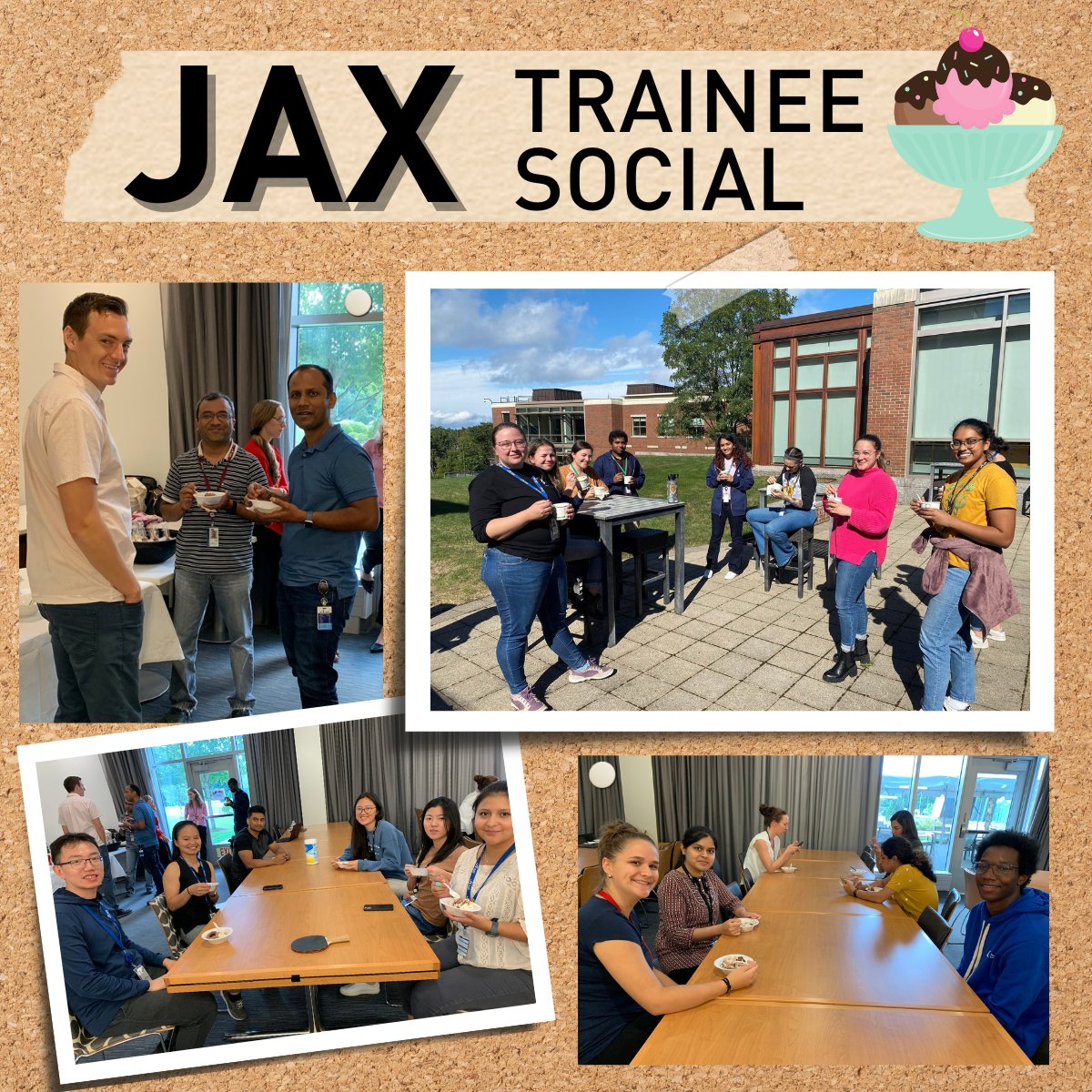 JAX_Education's tweet photo. 🍦 Something sweet to end your week! We recently kicked off the fall semester with an ice cream social to welcome our newest postdocs, doctoral students and postbacc fellows to @jacksonlab. https://t.co/DqCNYHIeTp