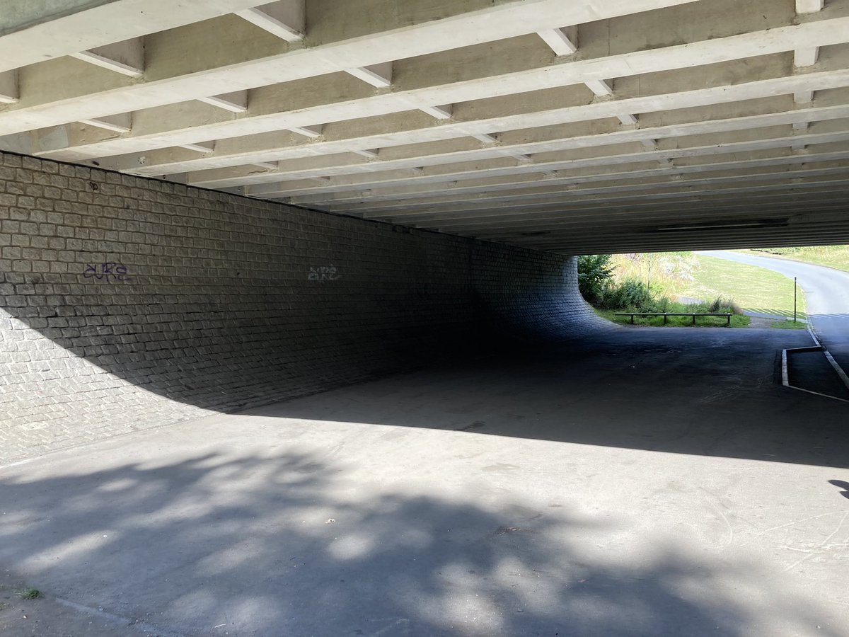 juliandobson's tweet photo. Excellent tour of Newcastle’s underpasses with @underpassesNCL exploring speed, time, fear, gender, art and hierarchies of movement and regulation - 81.1% of women surveyed increase their walking pace #RGSIBG22 https://t.co/AyptMb48fd