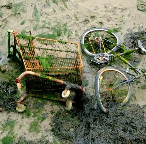 #FF #Einkaufswagenkunst #superb @Mouais_daccord <a href="/juliadarwen/">Julia Dunlop 🔶🇪🇺</a> <a href="/TrueCrimePoli/">66613Skunky13</a> <a href="/StelfoxPeter/">Peter Stelfox Esq.</a> @BLann1963 <a href="/jim_eatwell/">Jim Eatwell</a> <a href="/dmreeser/">Danjer Dave</a> <a href="/octibersing/">𝚂𝚝𝚎𝚟𝚎 𝚆𝚒𝚕𝚕𝚒𝚊𝚖𝚜</a> <a href="/smellofwater/">Ironopolis</a>