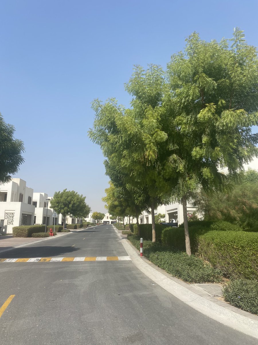 PinkTaxiRunner's tweet photo. If you live in either #MiraCommunity I have surely ran by your house 🏡 because #everysinglestreet is done ✅ and now for more Dubai @HamdanMohammed https://t.co/JhsEn6n2tO