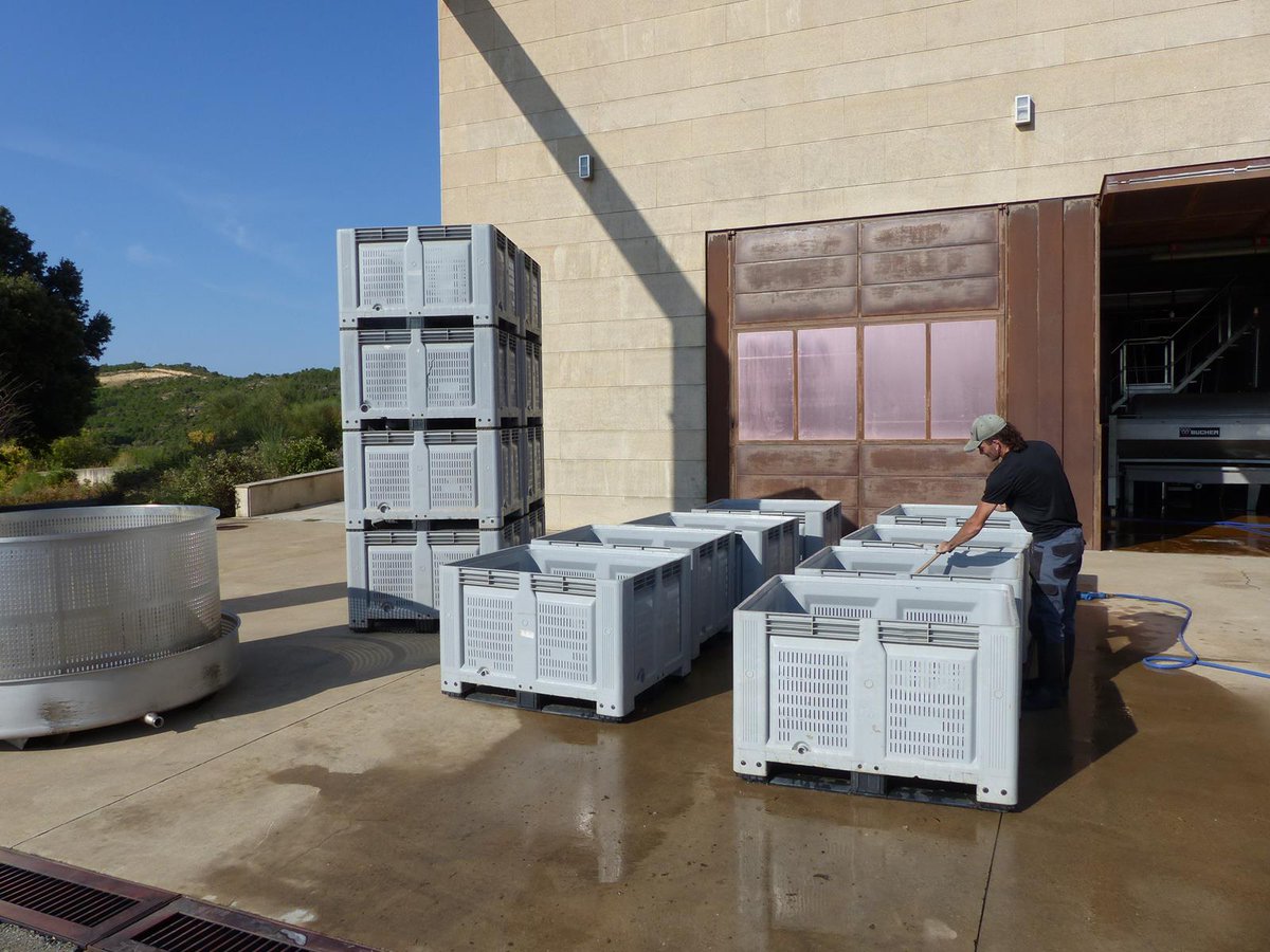 ADHalliwell's tweet photo. Getting #BodegasObalo ready for the harvest and for #DíaDePuertasAbiertas #OpenDoorsDay in #Ábalos.
#Rioja https://t.co/AYV6o21TPJ