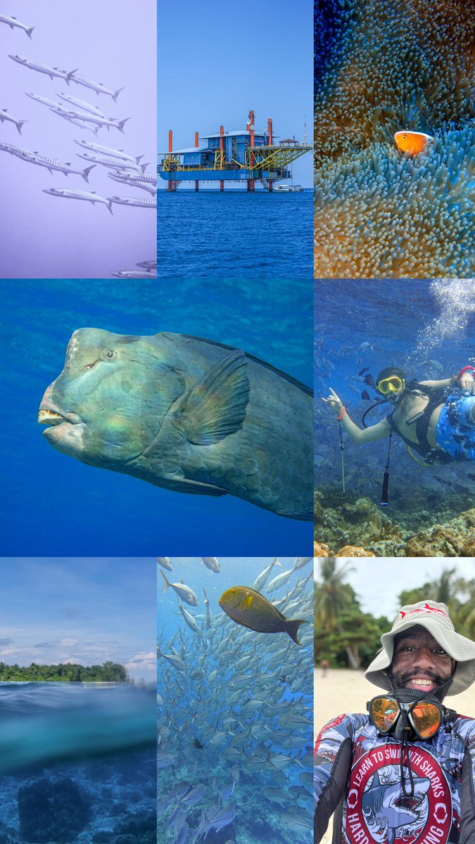 حسن ظبيك 📸 🎥 tweet media