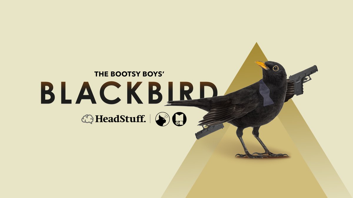 Don't forget to listen to <a href="/thebootsyboys/">The Bootsy Boys' Blackbird</a>' Blackbird which is far superior to Michael Flatley's version. 

Starring The Bootsy Boys, <a href="/edwinsammon/">Edwin Sammon</a> and directed by @MrMikeyFleming 

Tune in wherever you listen to podcasts or here: headstuffpodcasts.com/show/the-boots…