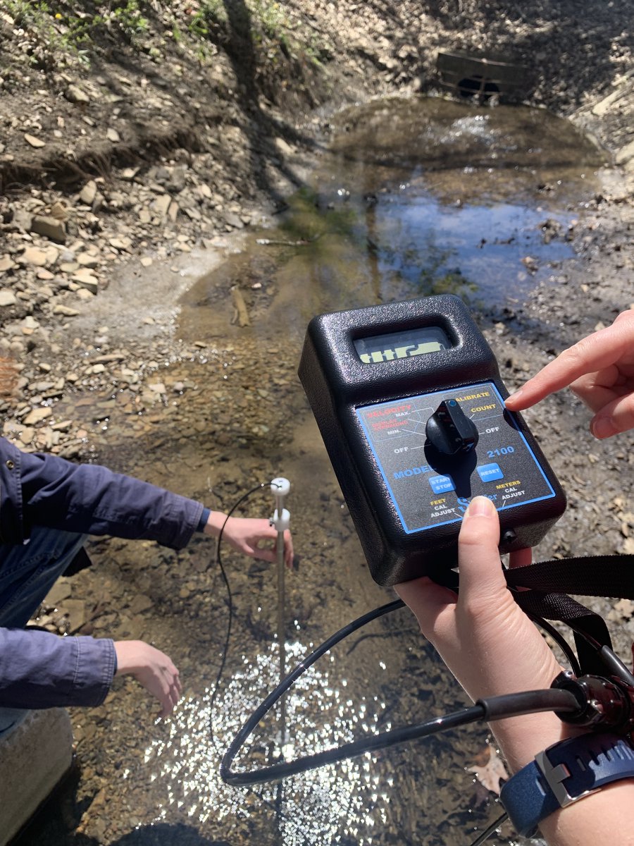 Creek Connections tweet media