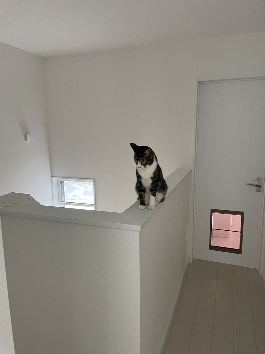 𝑼𝑵𝑲 𝑫𝑬𝑹𝑼𝒁𝑶𝑯 tweet media