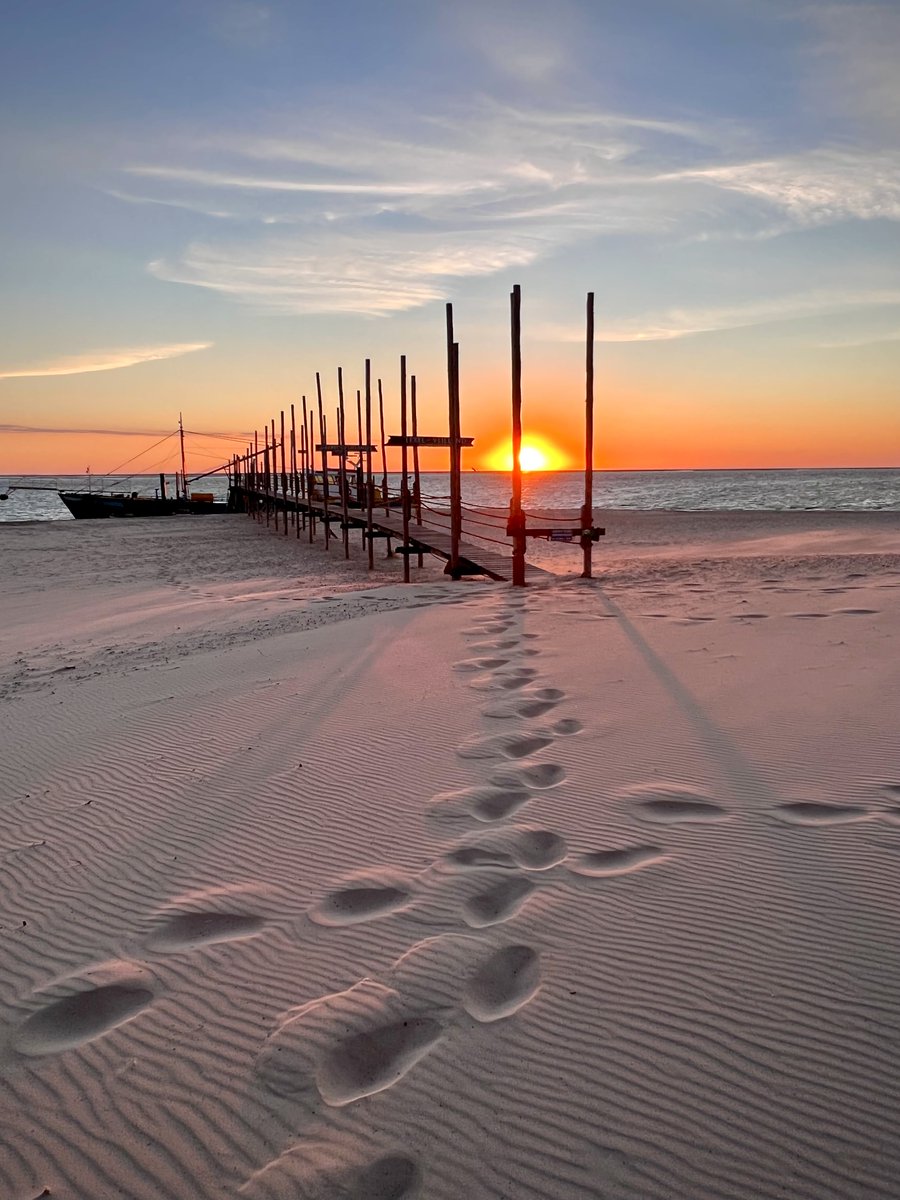 LisetteOpTexel's tweet photo. Vanmiddag ‘n dierbare op z’n pad begeleiden #RIP
#texel #zonsopkomst #vanmorgen #steiger #devriendschap #pad #fotozomerweken #thephotohour @natures_voice @awesomeearthpix @stormhour #twitternaturecommunity #sunrise @VisitWadden https://t.co/j5SRWWB81G