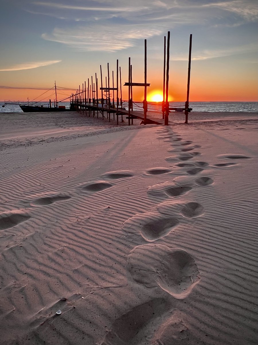 LisetteOpTexel's tweet photo. Vanmiddag ‘n dierbare op z’n pad begeleiden #RIP
#texel #zonsopkomst #vanmorgen #steiger #devriendschap #pad #fotozomerweken #thephotohour @natures_voice @awesomeearthpix @stormhour #twitternaturecommunity #sunrise @VisitWadden https://t.co/j5SRWWB81G