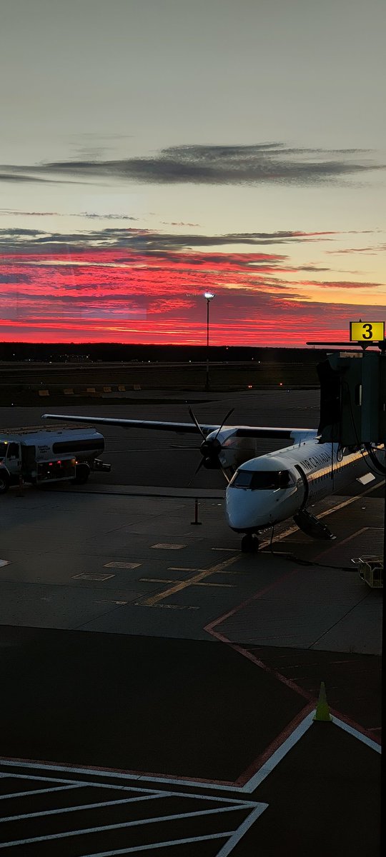 aaa_dill's tweet photo. Goood Morning! Happy Friday! 🌄
 @AirCanada https://t.co/BQszBWu6AL
