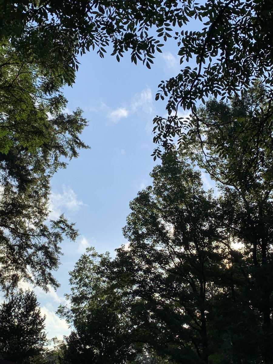 okamoto_sandra's tweet photo. Good morning, Columbus! #ColumbusGA #mydailyphoto #09/02/2022 #2022project #afewclouds #sunrisingthroughthetrees #cool #butstillhumid #breezy #verypleasant #birdswakingup #cicadasloud #neighborsdogsbarking https://t.co/9LyXtZxSaL