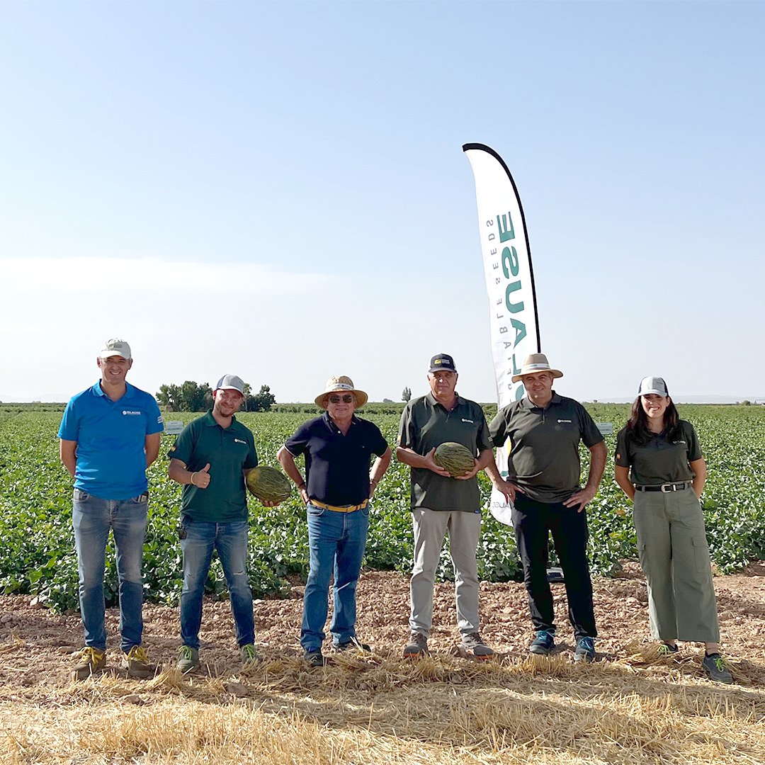 HMCLAUSEIBERICA's tweet photo. Compartimos con vosotros algunas imágenes de la pasada Jornada de Campo de VALDEORO F1🍈
Conoce todo sobre esta novedad en el siguiente artículo 👉 https://t.co/UDd9VFmqlI
#melon #melonesclause #melonvaldeoro #melonpieldesapo #conectaconclause #yosoydeclause #lamancha #hmclause https://t.co/npVipIGCvr