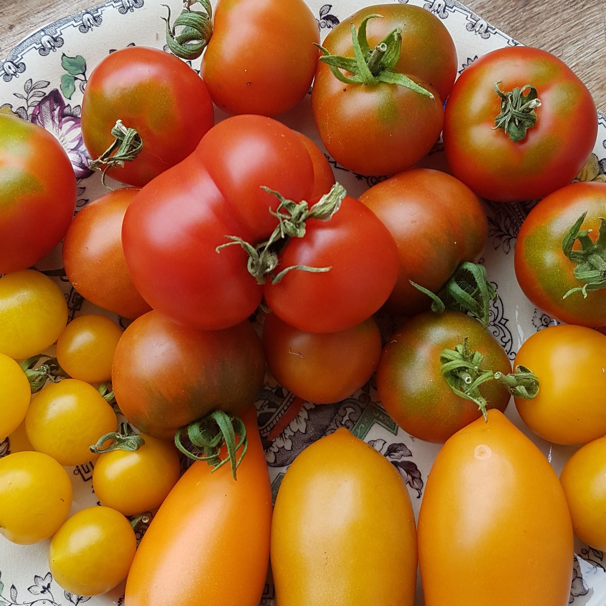 CPKLibraries's tweet photo. 🍅TOMORROW! 🍅

Come along to Perthshire Seed Library's first ever TOMATO DAY in #StrathearnLibrary! Bring your tomatoes to our display table, learn how to sow &amp; grow, and browse information on Scottish tomato varieties. It's FREE; drop in 11am-3.30pm. https://t.co/3BxT4vAR3G https://t.co/IZ8zJPrnCC