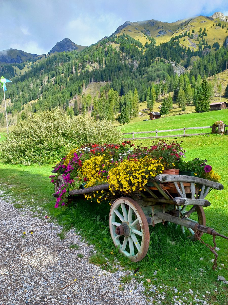 ...La natura è armonia...

Colori 💛
Val San Nicolò 📷💚
Dolomiti