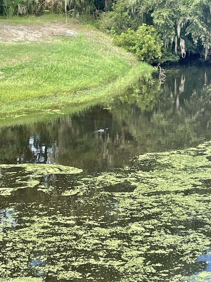 FullSendFlem's tweet photo. A few pictures from the boys golf trip. If you guys haven’t been before I would highly suggest visiting Hilton Head, SC. Played Ship Yard, Port Royal and Oyster Reef. Very good tracks for the price. https://t.co/hcZPckGQO0
