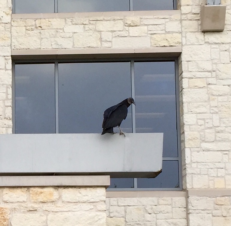 Jonathan Beard tweet media