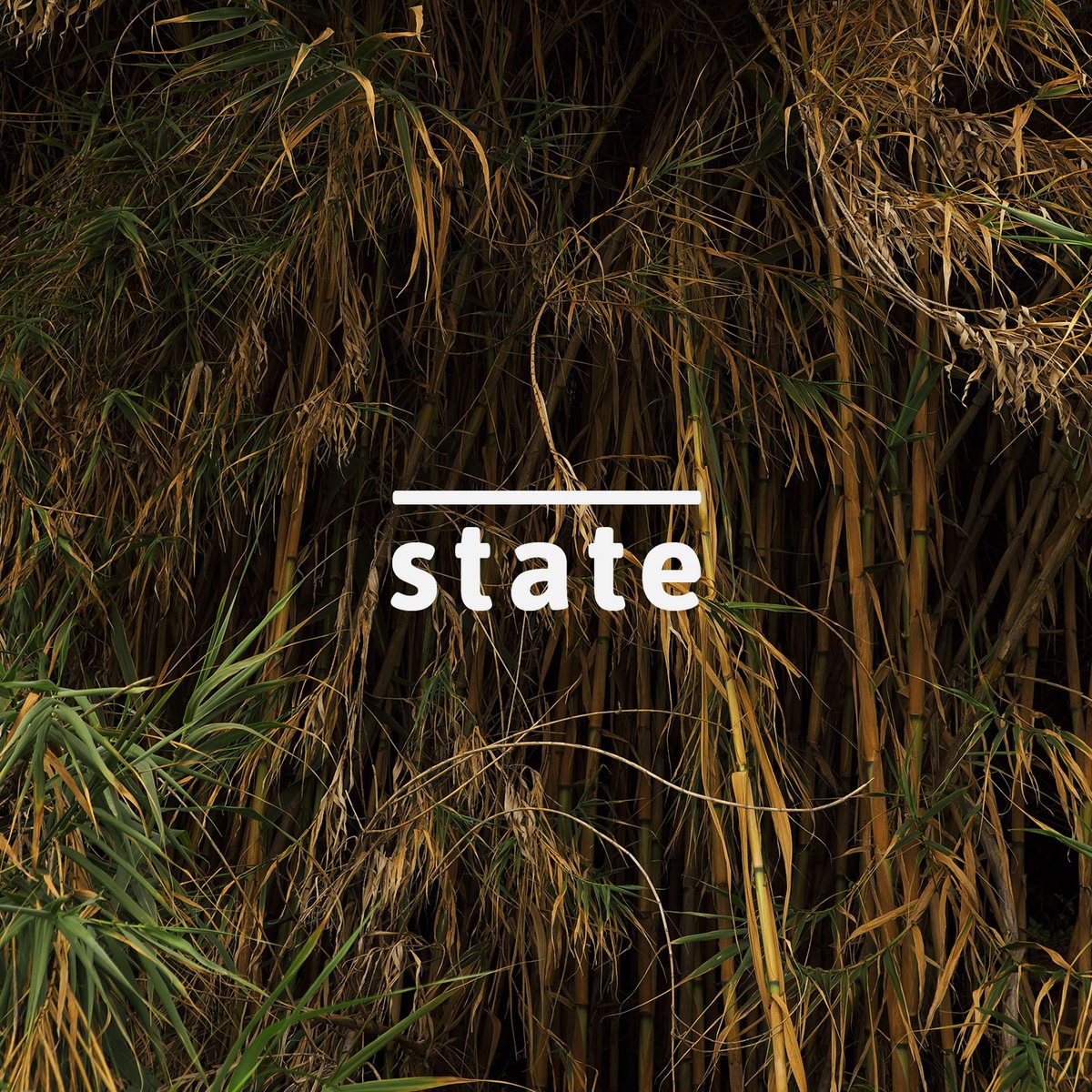 Minimal State (@minimal_state) on Twitter photo 