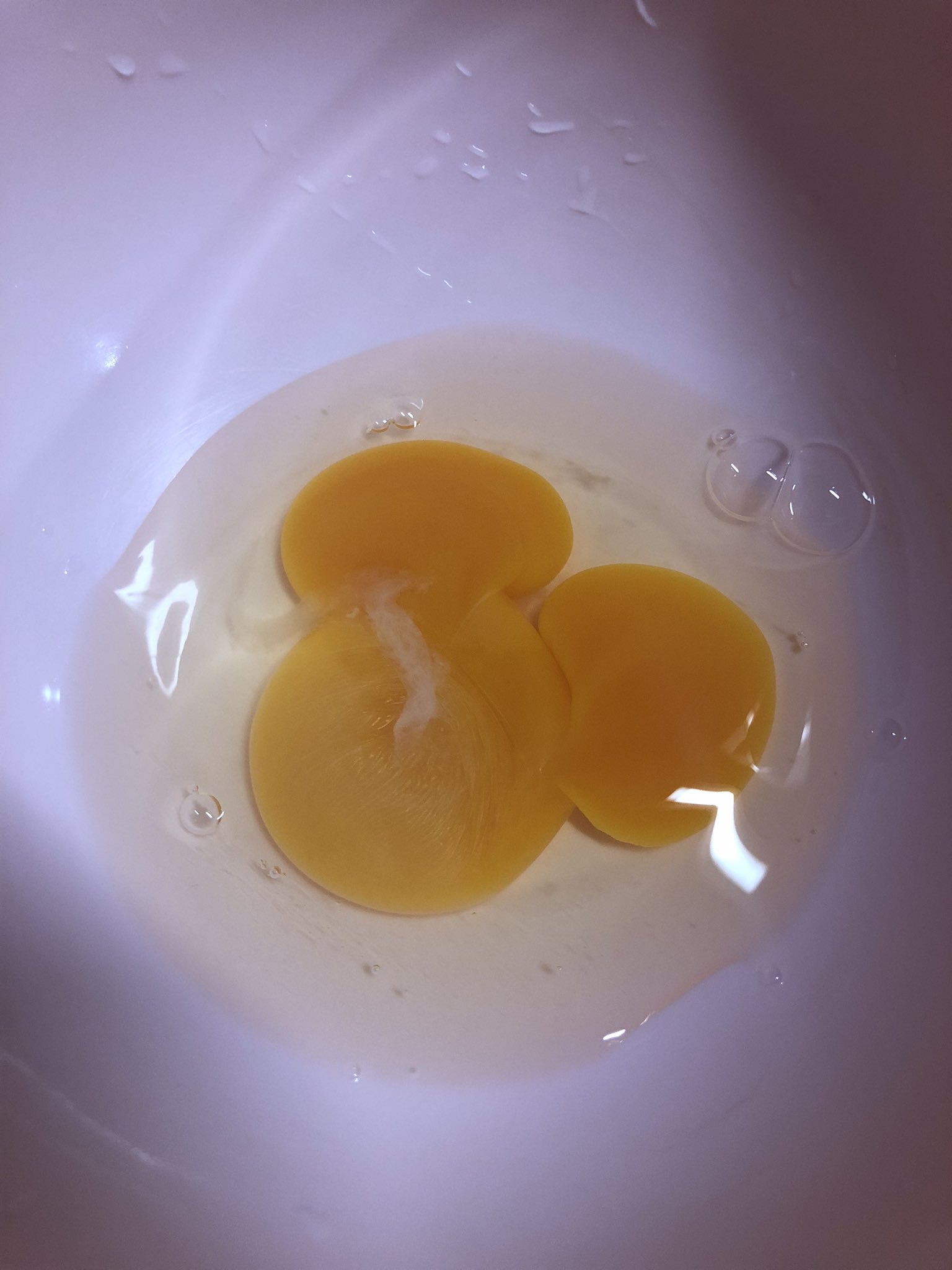 5quvztm Fry3tm