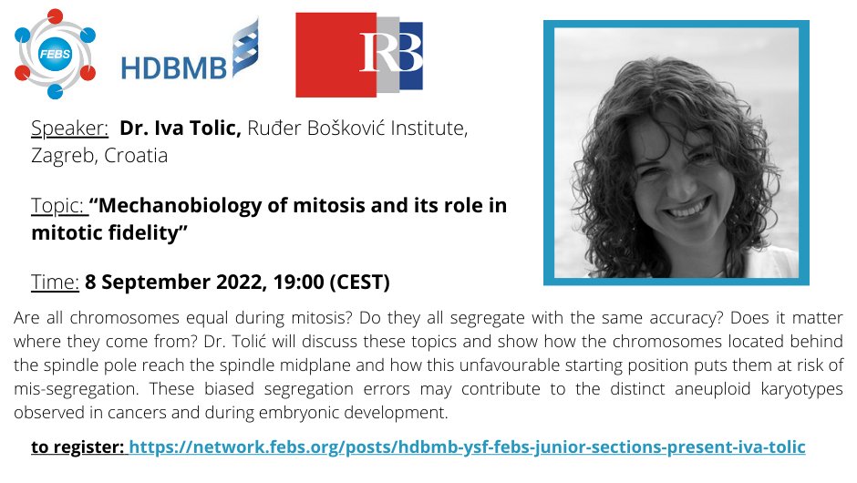 ÖGMBT-YLSA: online event from our related society FEBS: Dr. Iva Tolić, Ruđer Bošković Institute, Croatia: “Mechanobiology of mitosis and its role in mitotic fidelity” - Sept. 8, 19:00 CET Register here for free: network.febs.org/posts/hdbmb-ys… More information: network.febs.org/posts/room-for…