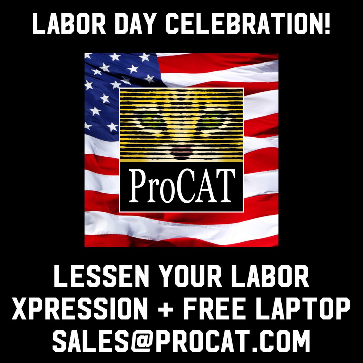 TheProCAT's tweet image. 