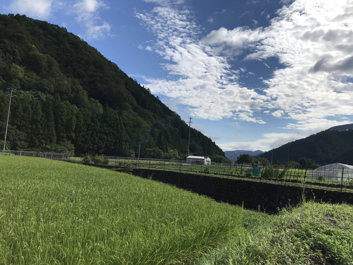 tak__tyy's tweet photo. 農業研修が始まり早5ヶ月。鬼のように忙しかった農繁期が徐々に落ち着きつつあります。
ふーちゃんもすくすく大きくなりもう１歳です。アイラブふーちゃん。 https://t.co/cuGYQlliMm