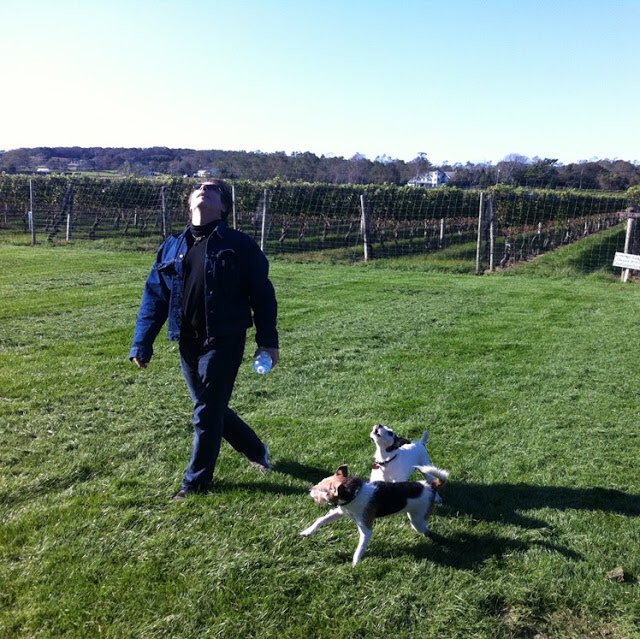 joshTree18's tweet photo. At the family Winery in East Hampton https://t.co/8hq19Ehi8K