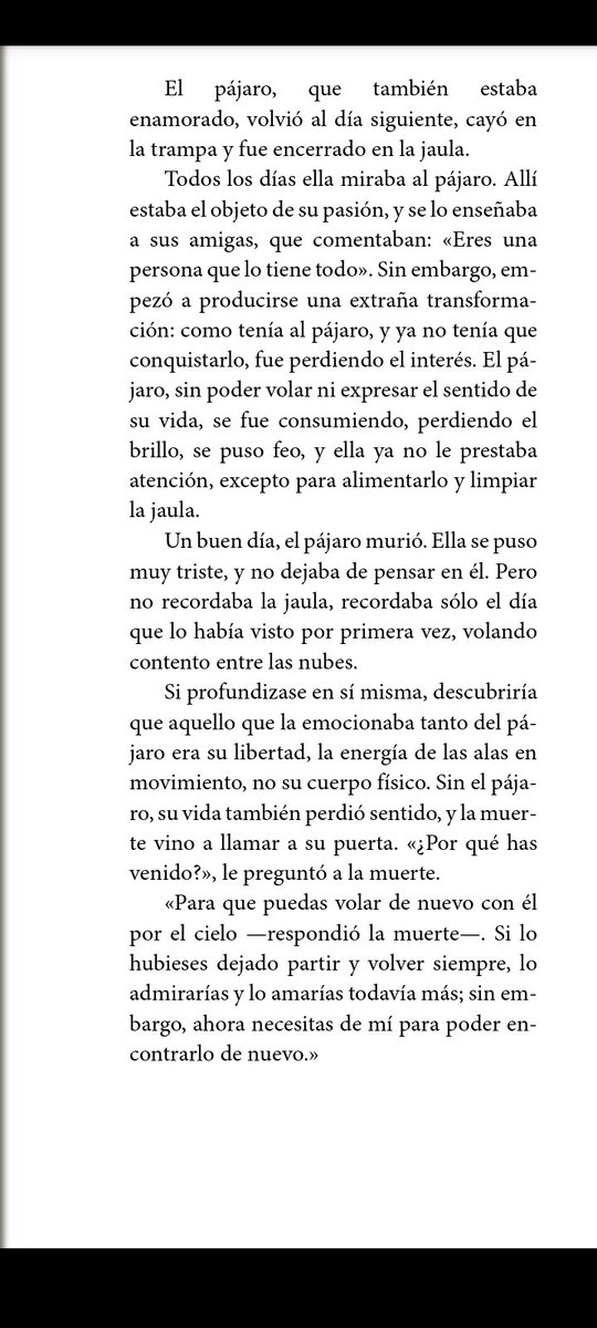 PvtaFoca •_• tweet media