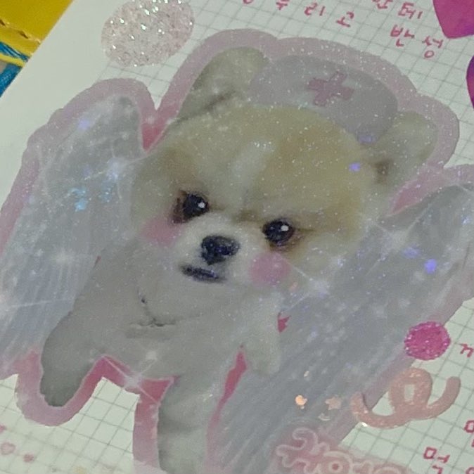 매지컬호두 스티커 사랑스러워..💓
러블리 다꾸 어렵다 하하