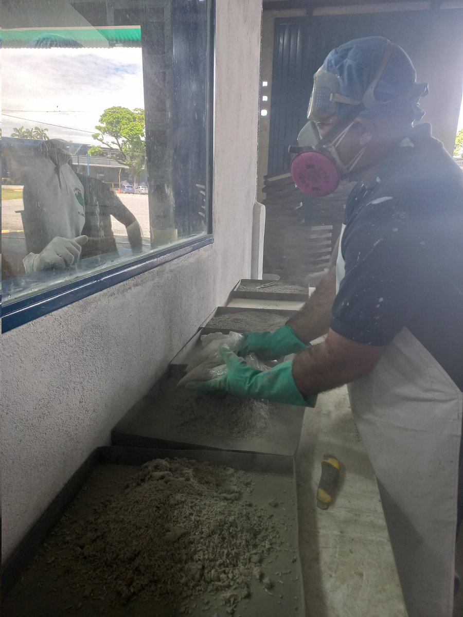 Socaportuguesa's tweet photo. Activados en nuestra filial #Probioagro
Producimos el producto Cobican, un insecticida biológico que controla eficazmente adultos y ninfas de candelilla
En la imagen, cosecha de Metarhizium Anisopliae luego del proceso de incubación.
Sembramos caña, hacemos patria 🇻🇪 https://t.co/it76reQLv7
