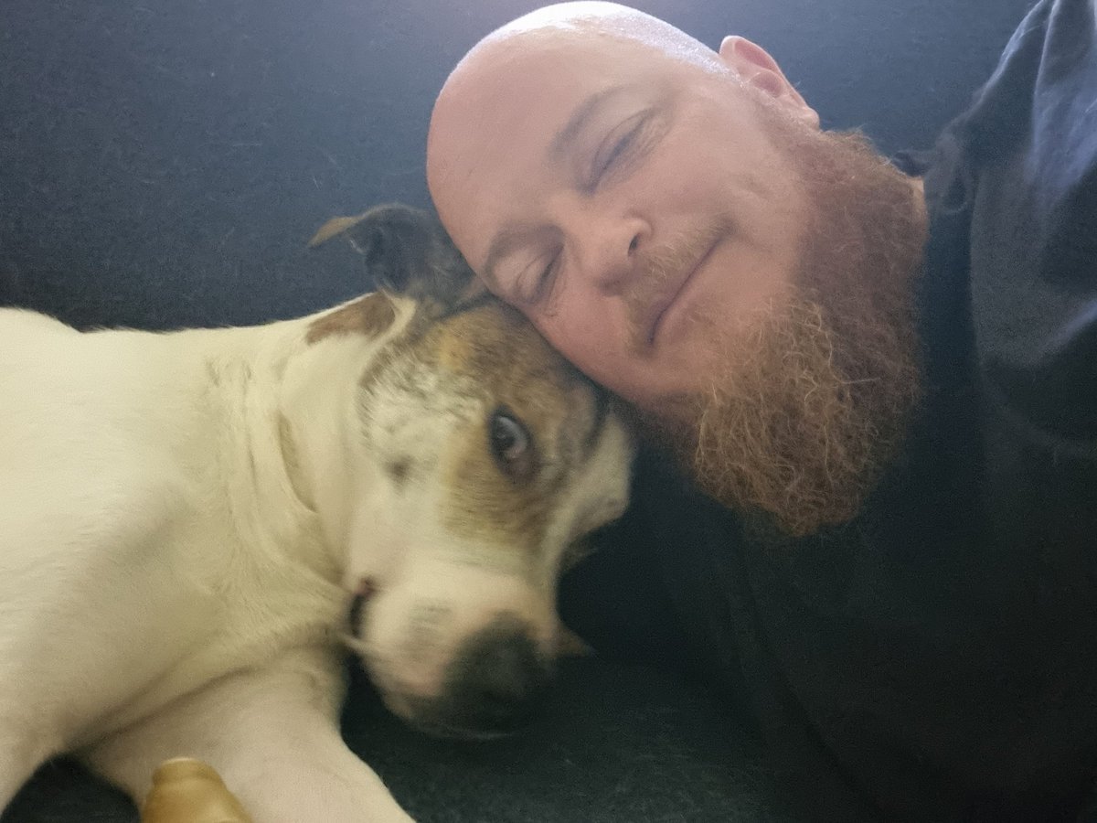 Old_Wiking's tweet photo. @DemonRebel1 Dogs.. is that a hobbie?? Well if so, this dude is my hobbie😊👍 https://t.co/H9yibzFhBy